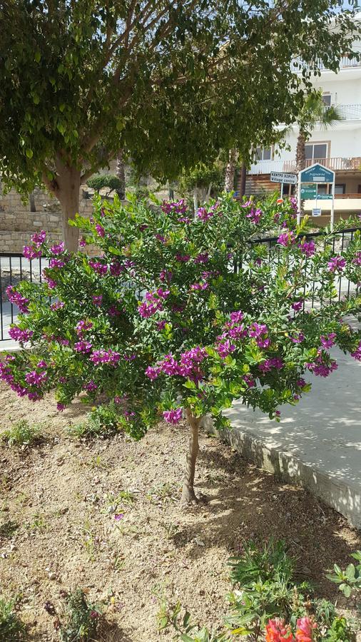 Lazaros Pissouri Apartments Exterior foto